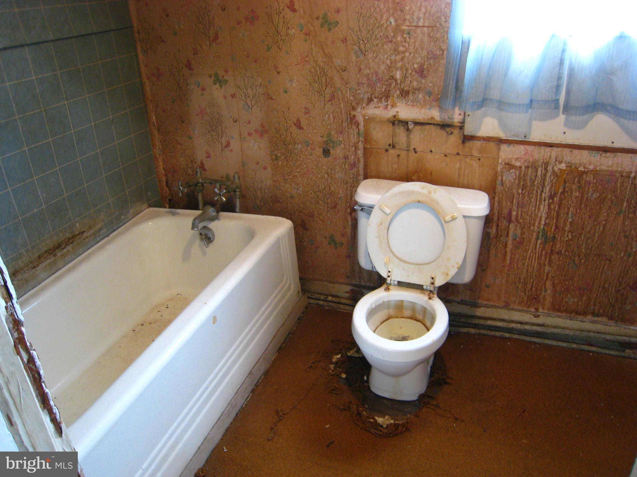 302 Homberg Avenue Baltimore, MD 21221 - Photo 23 of 23 Bath