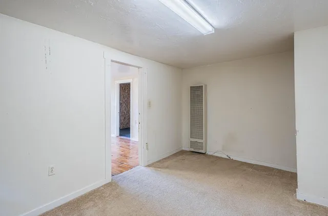 a view of a big room with closet and wooden door