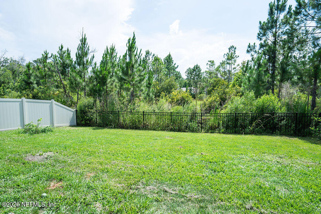 75394 Bridgewater Drive Yulee, FL 32097 - Photo 51 of 55 a view of a back yard
