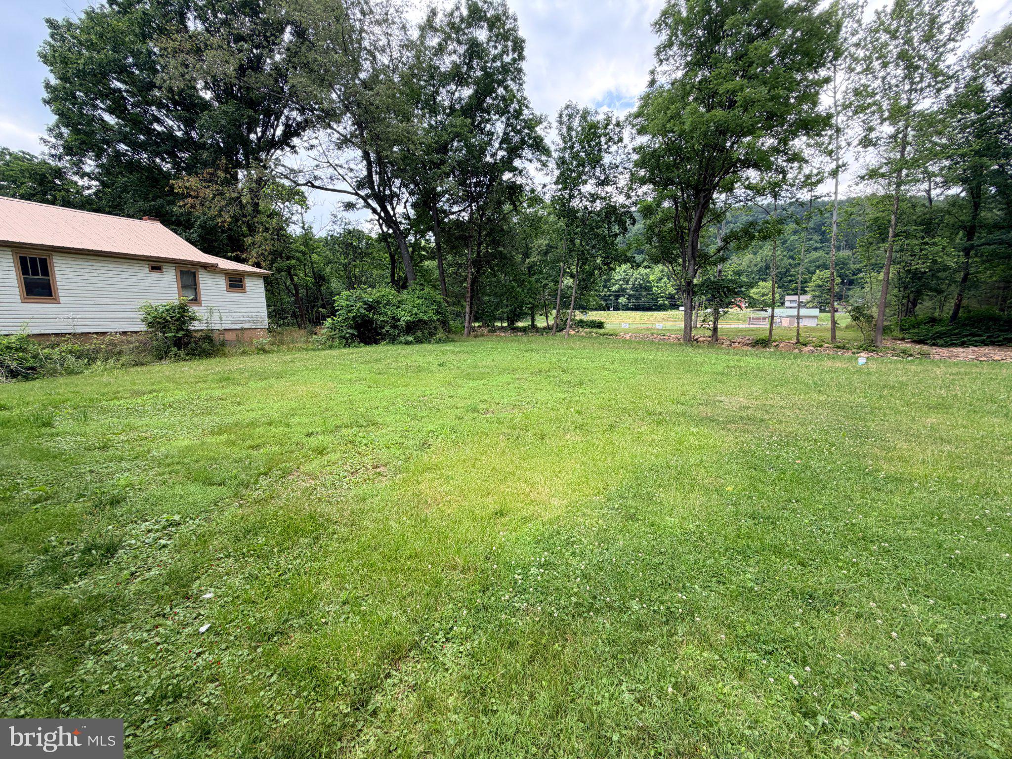 18705 Temperance Row Barton, MD 21521 - Photo 15 of 62 Spacious green retreat awaits you.