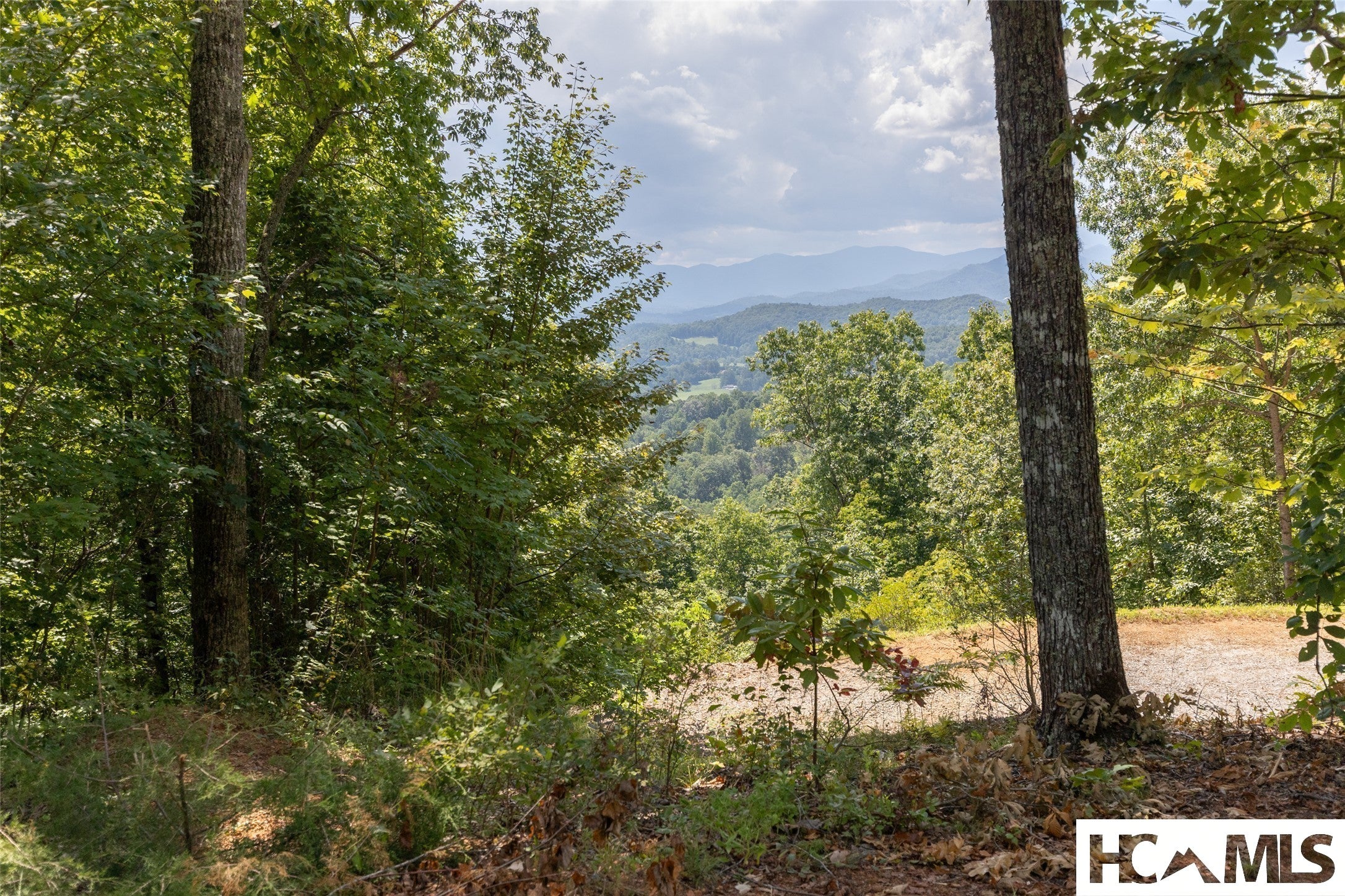 Tbd Onion Mountain Road Franklin, NC 28734 - Photo 7 of 24 Gallery Image 7