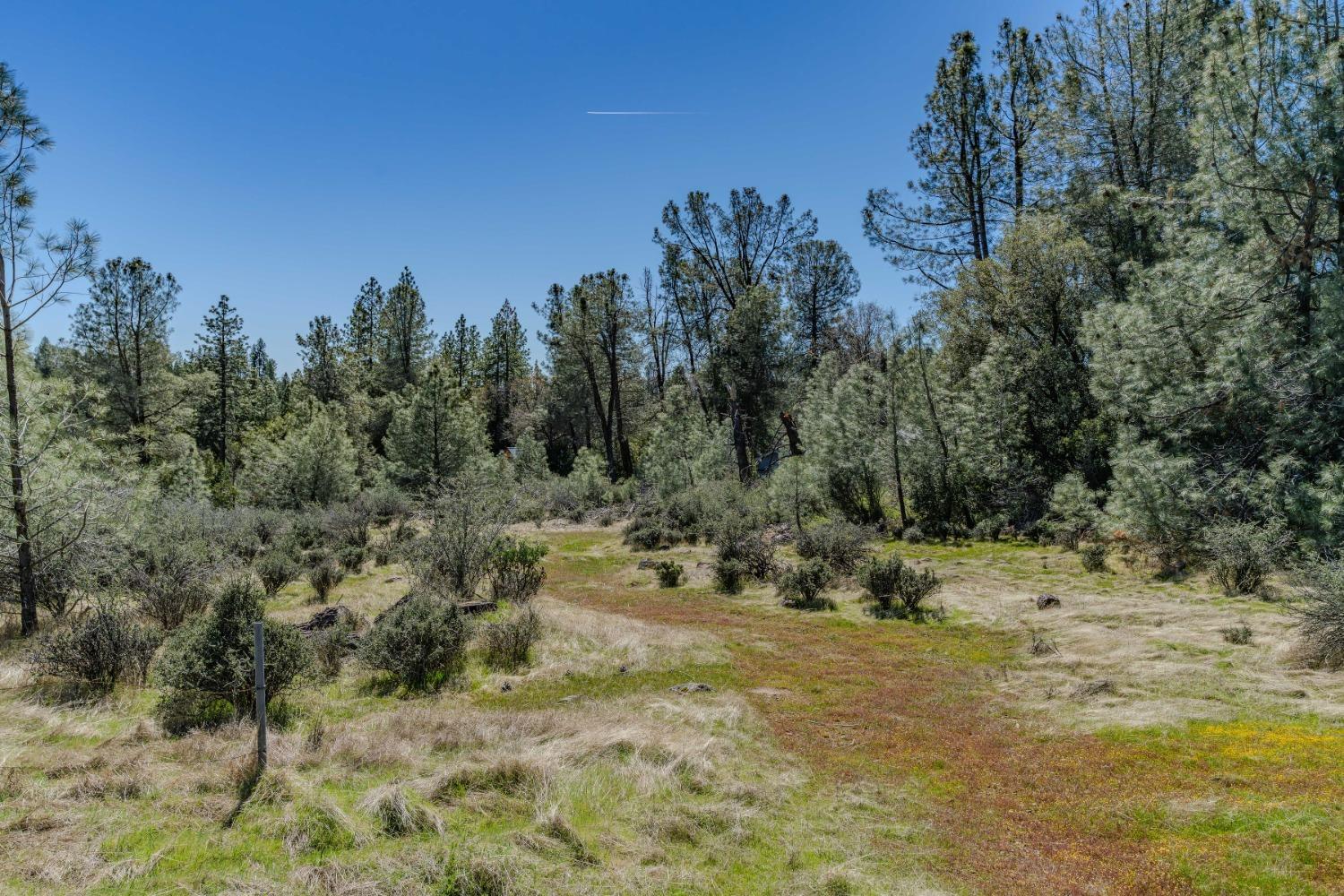 0 Carson Drive Pioneer, CA 95666 - Photo 1 of 1