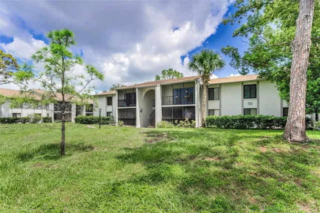 a view of a big yard with plants and large trees