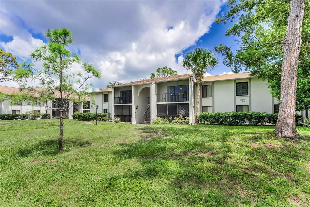 2687 Pine Ridge Way South, Unit F2 Palm Harbor, FL 34684 - Photo 4 of 62 a view of a big yard with plants and large trees