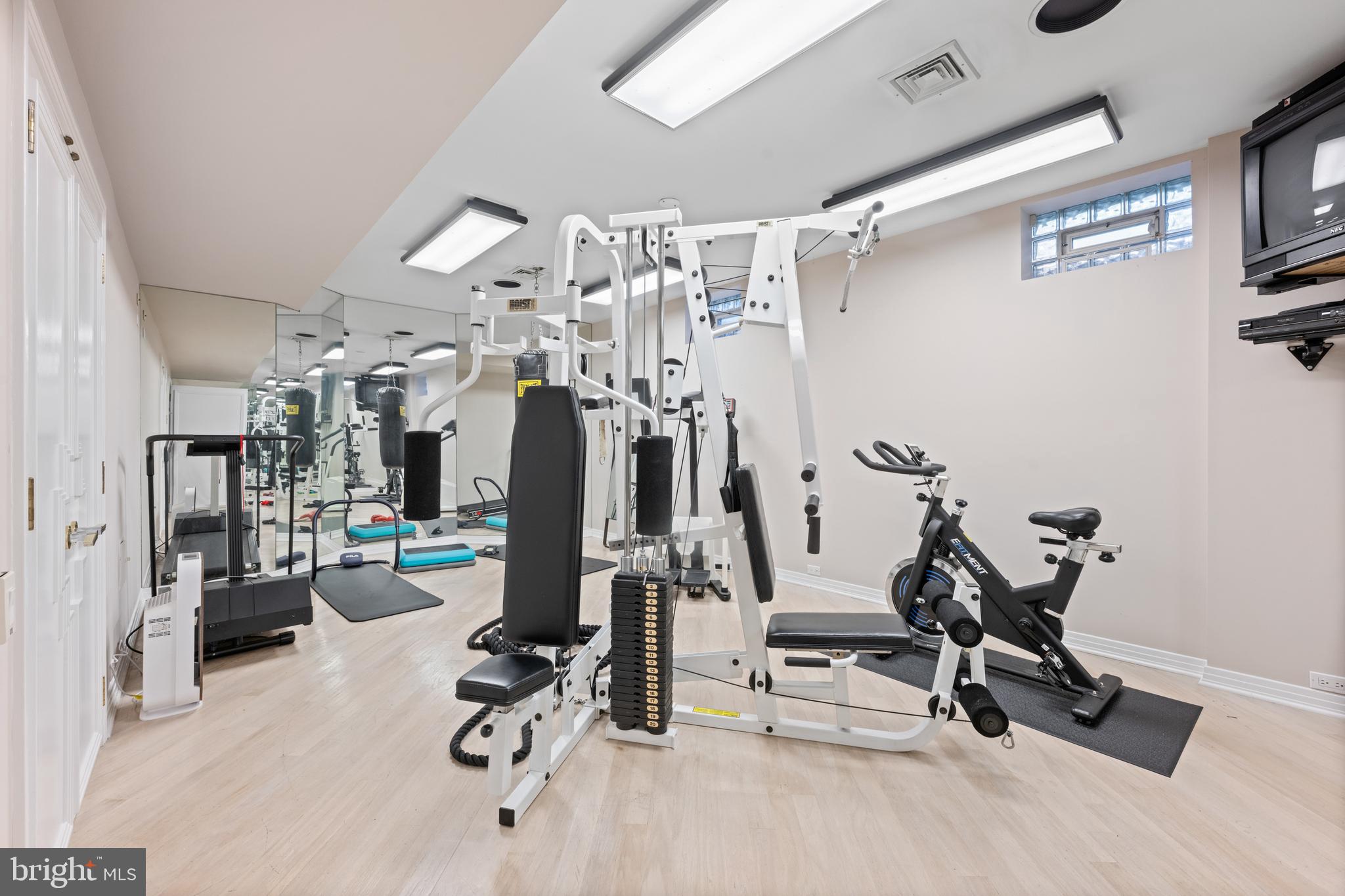 46 Sleepy Hollow Drive Newtown Square, PA 19073 - Photo 47 of 63 Lower Level GYM