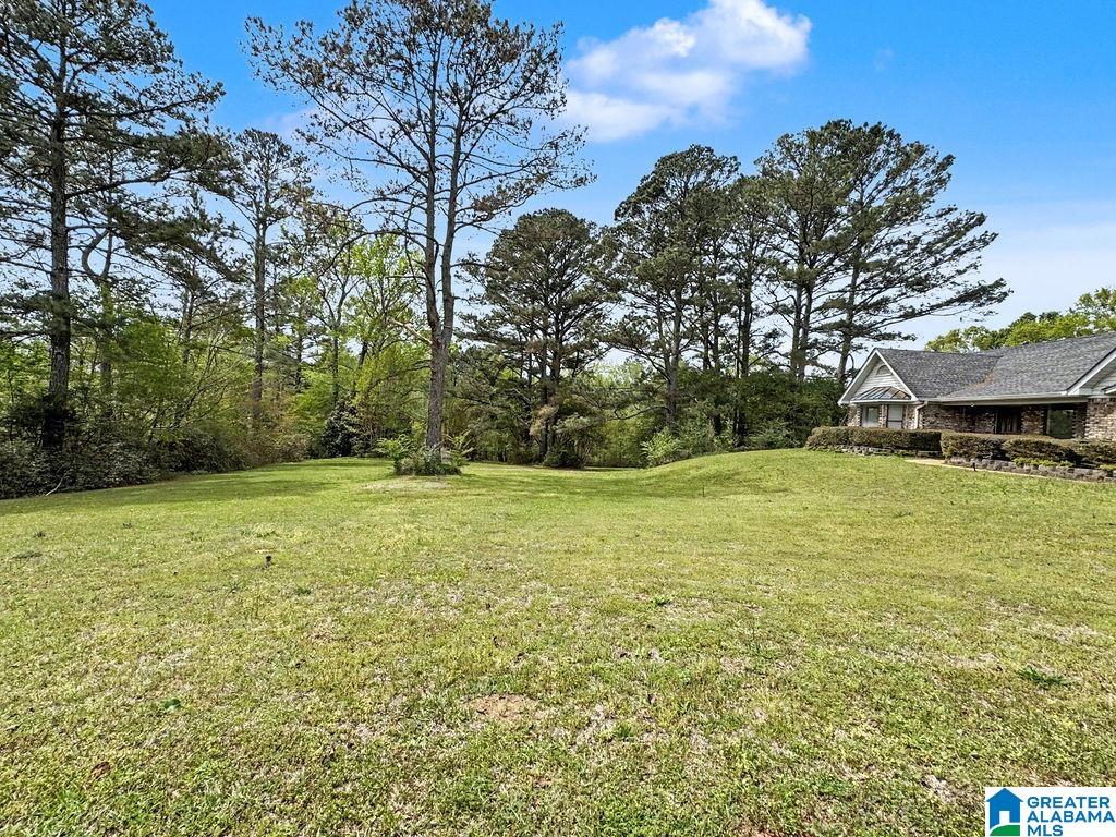 342 Mockingbird Road Greensboro, AL 36744 - Photo 48 of 60