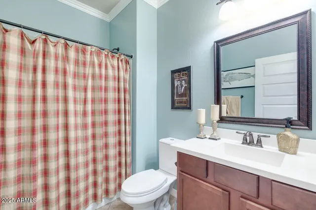 a bathroom with a sink a toilet and shower curtain
