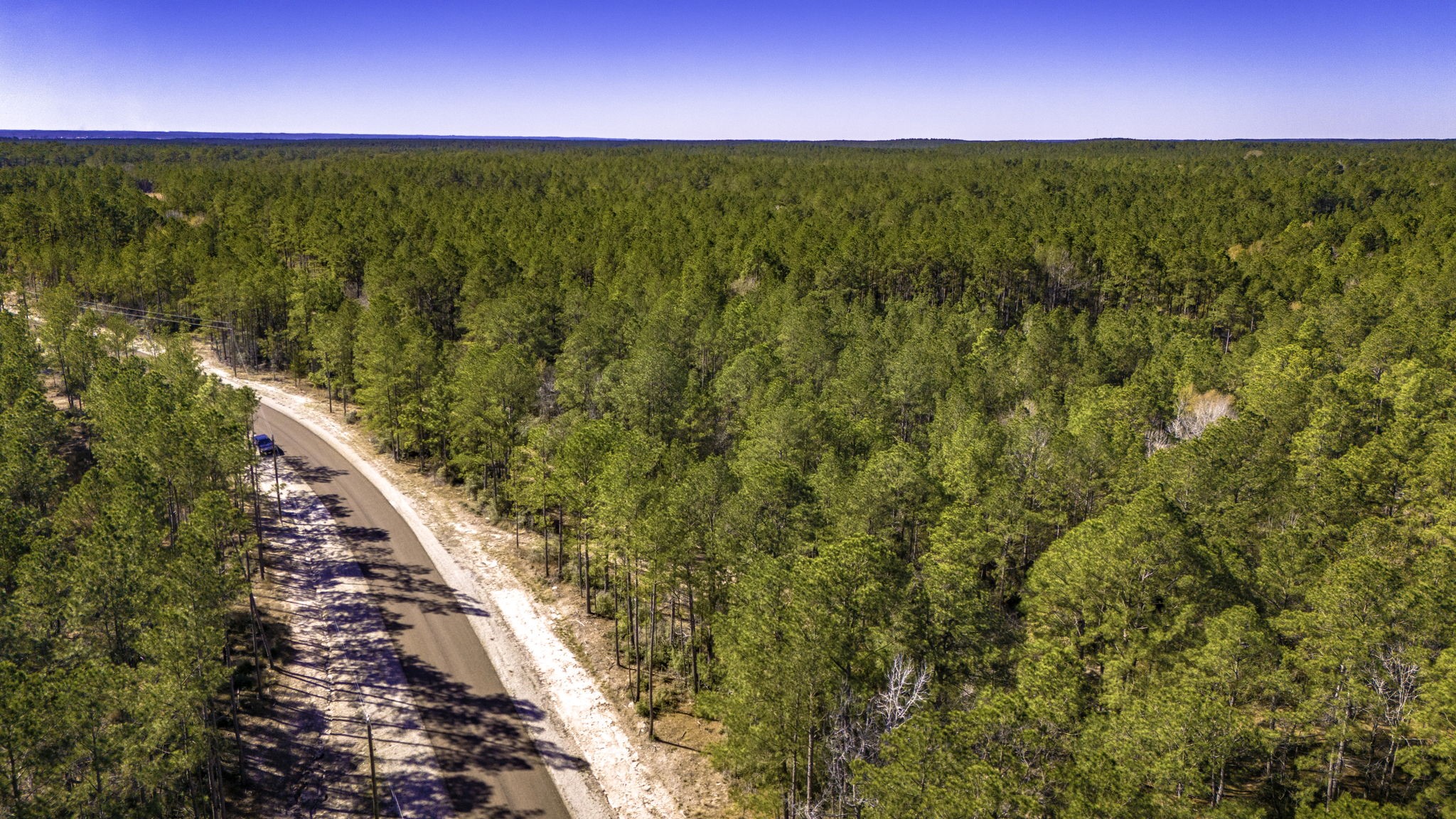 44 King Ranch Road Road Onalaska, TX 77360 - Photo 13 of 21