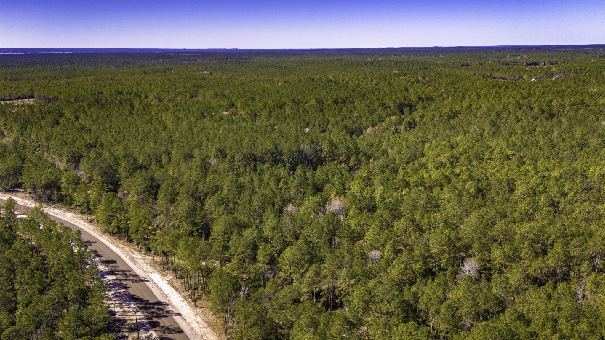 44 King Ranch Road Road Onalaska, TX 77360 - Photo 14 of 21