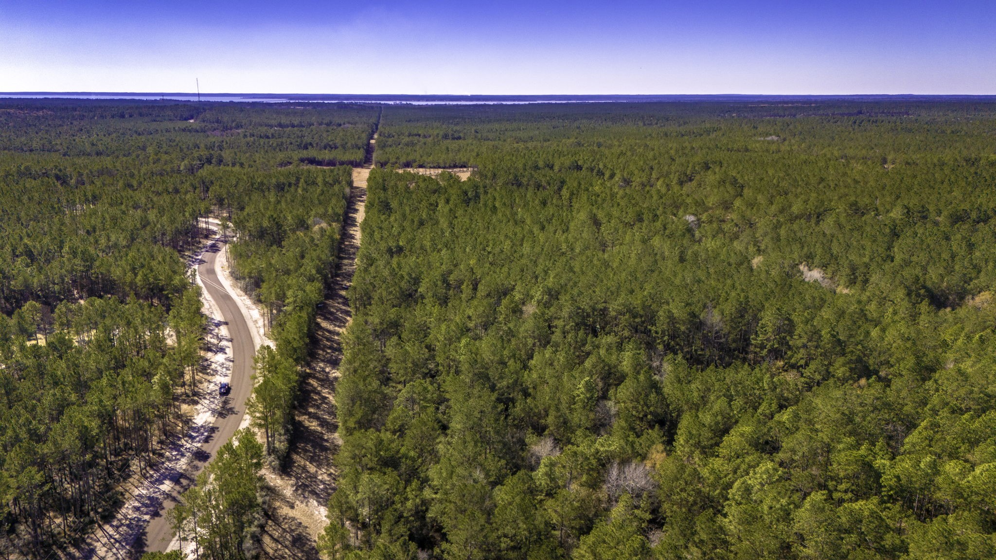 44 King Ranch Road Road Onalaska, TX 77360 - Photo 15 of 21