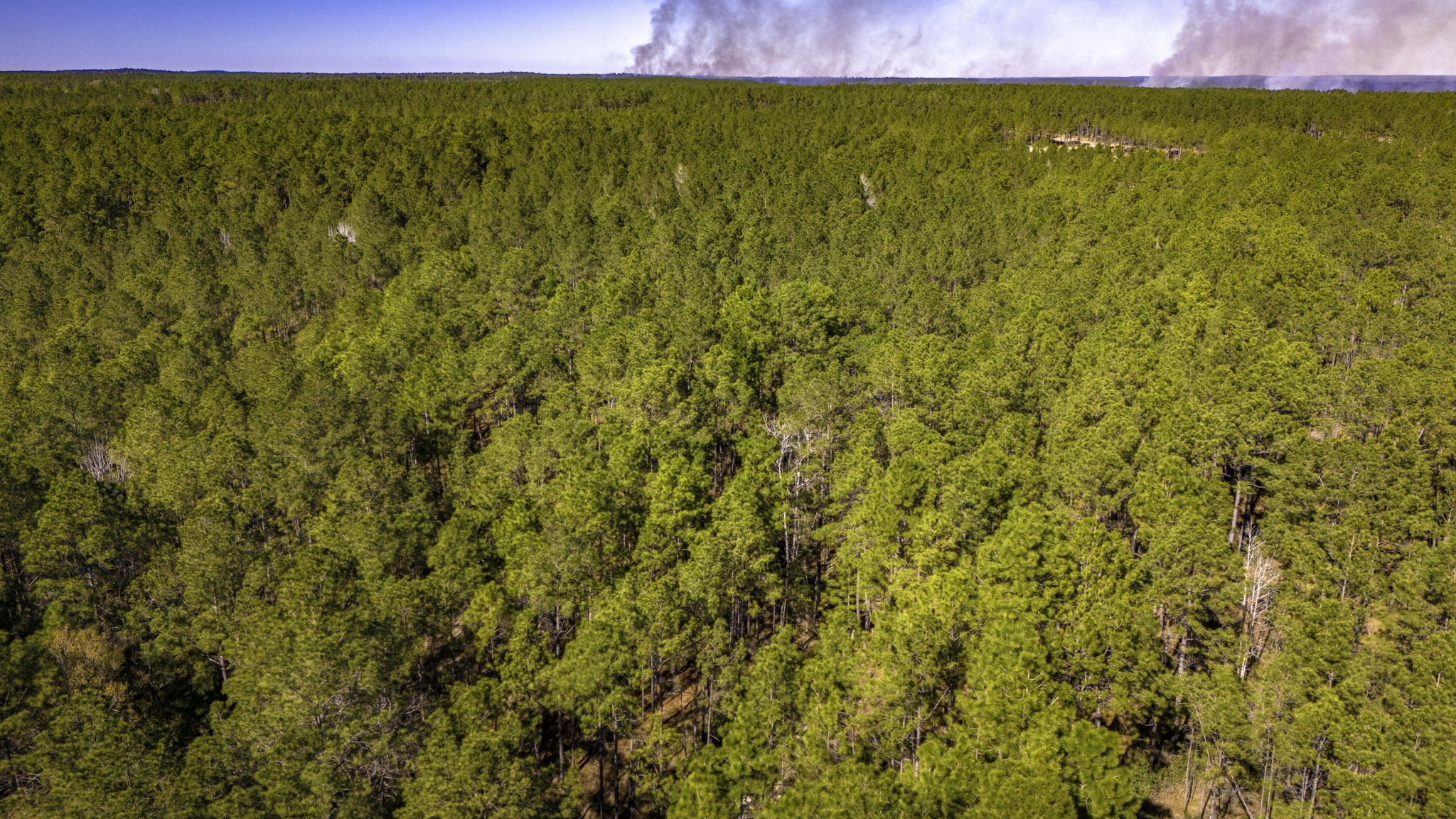 44 King Ranch Road Road Onalaska, TX 77360 - Photo 16 of 21