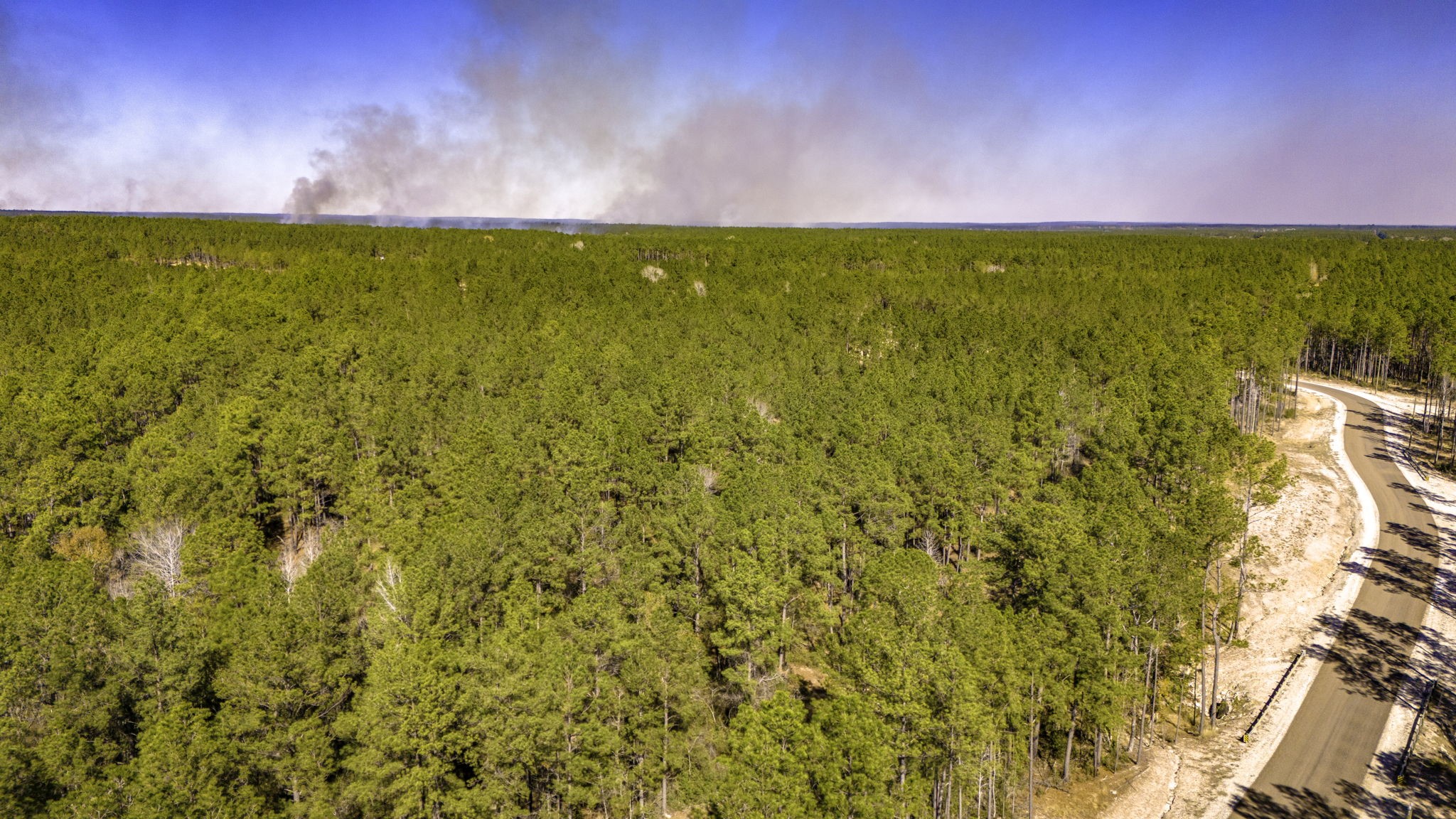 44 King Ranch Road Road Onalaska, TX 77360 - Photo 17 of 21