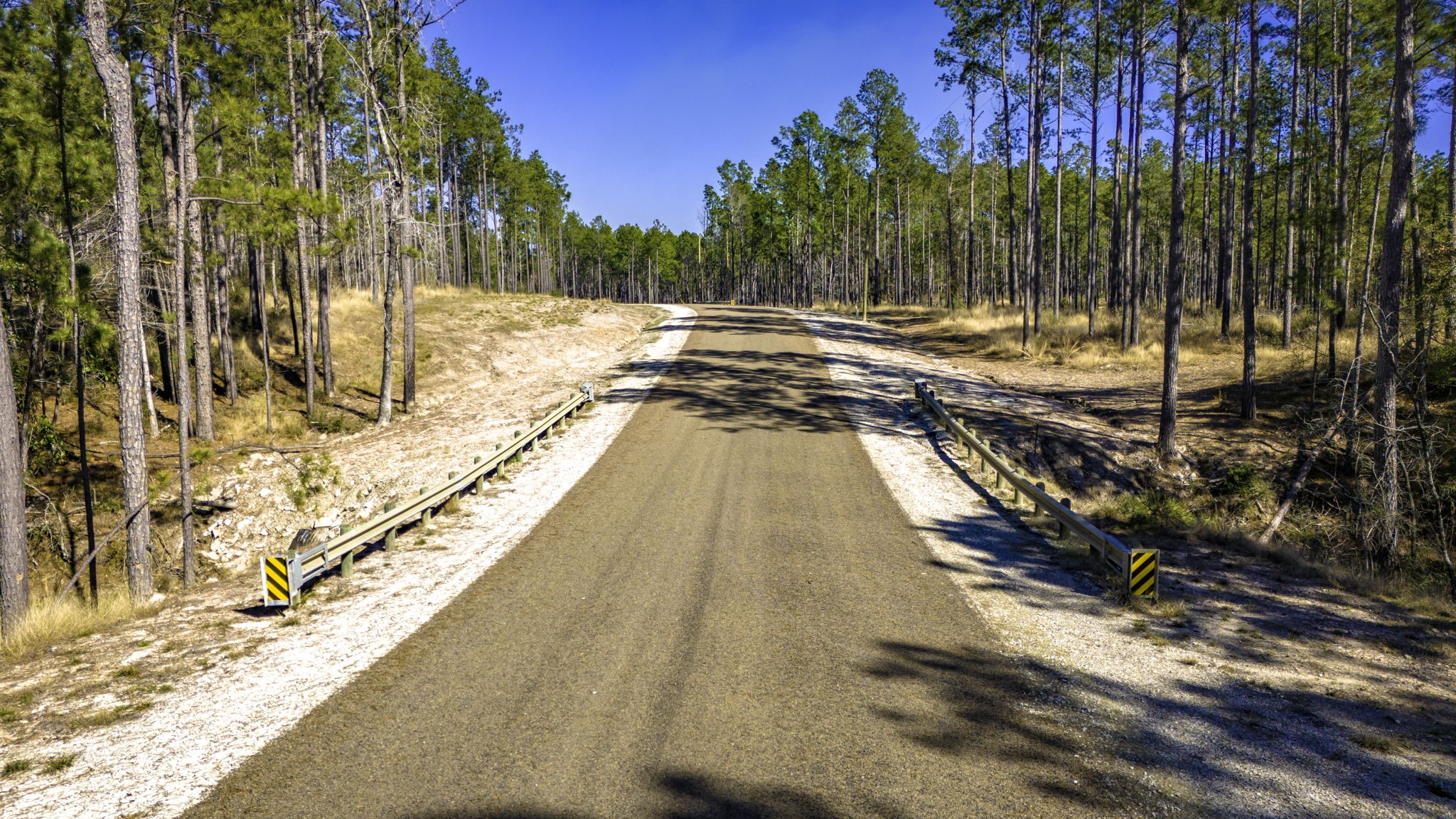44 King Ranch Road Road Onalaska, TX 77360 - Photo 6 of 21
