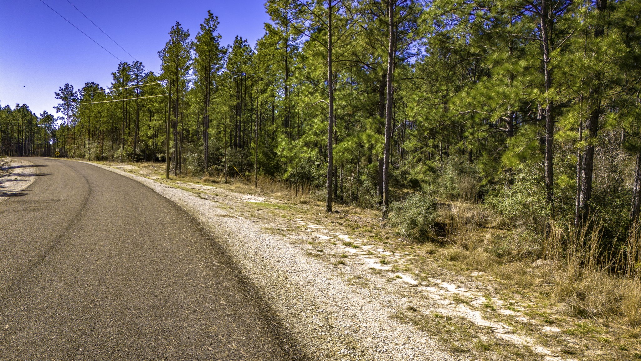 44 King Ranch Road Road Onalaska, TX 77360 - Photo 8 of 21