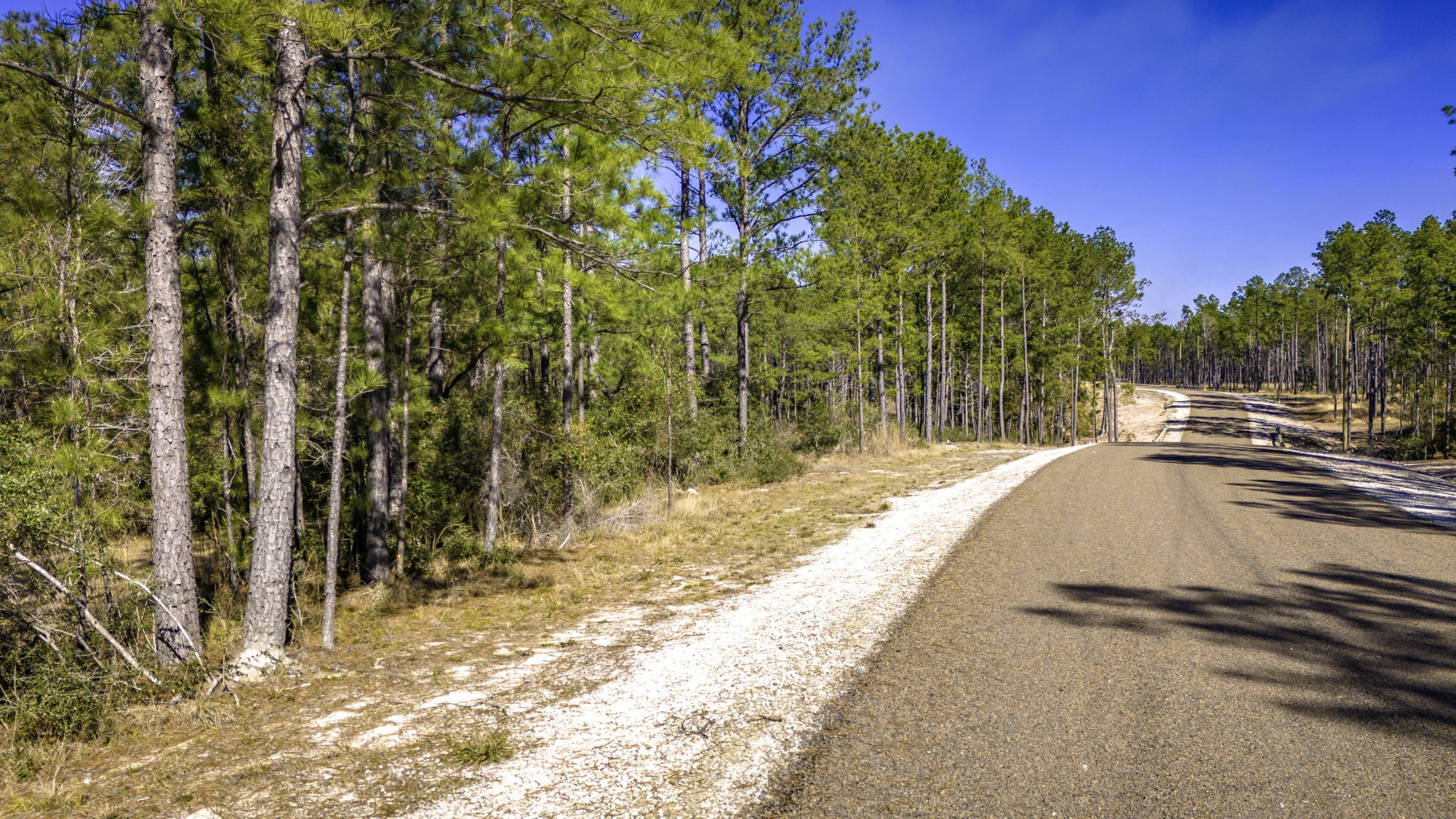 44 King Ranch Road Road Onalaska, TX 77360 - Photo 9 of 21