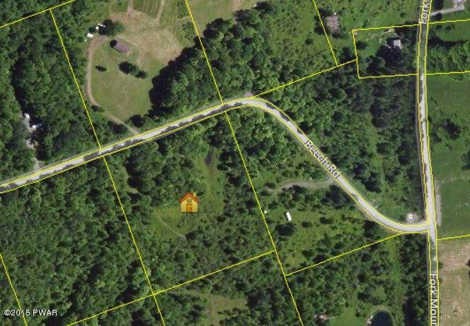 Lot 6 Beech Road Equinunk, PA 18417 - Photo 2 of 4