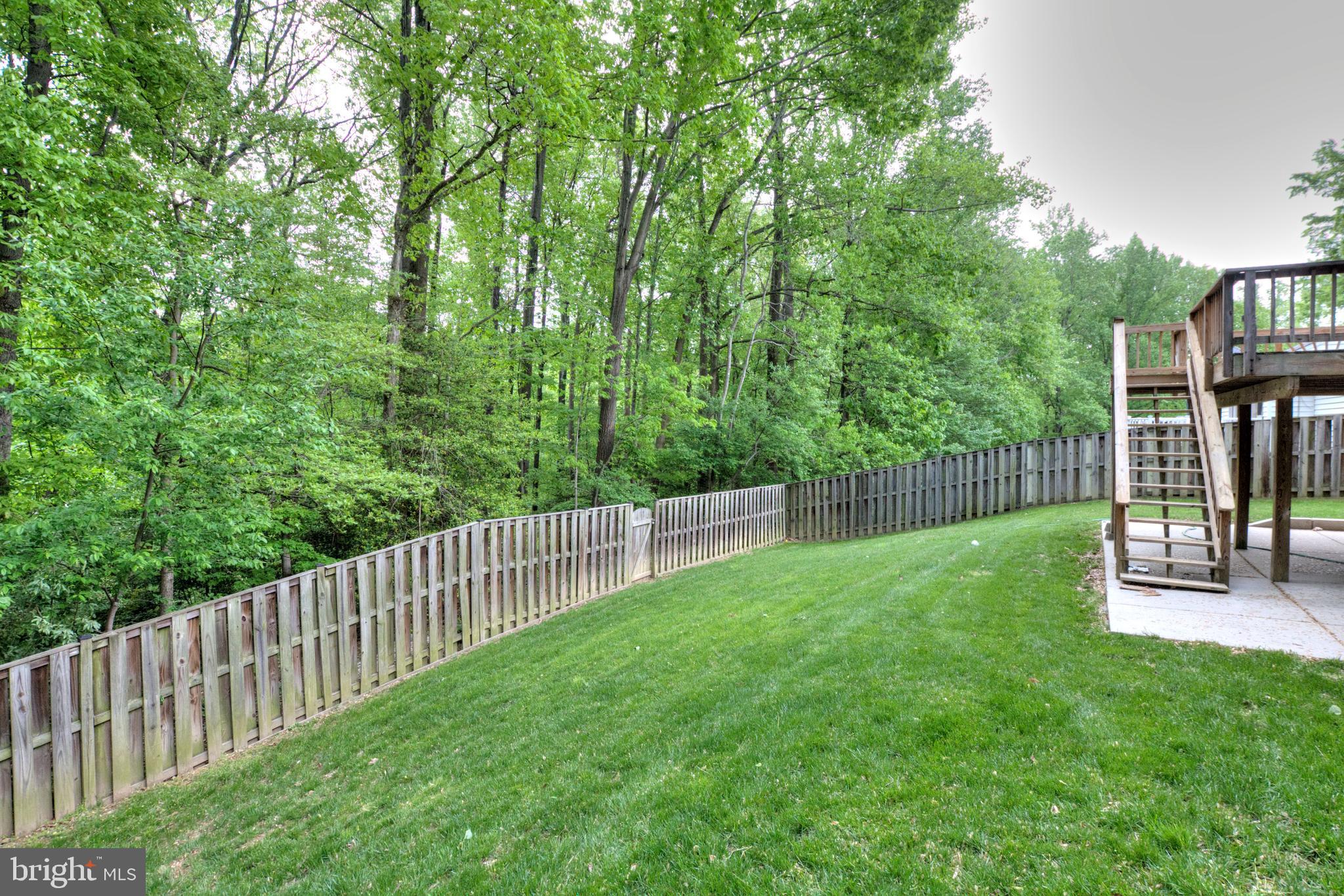 8105 West Point Drive Springfield, VA 22153 - Photo 28 of 32 Rear Yard