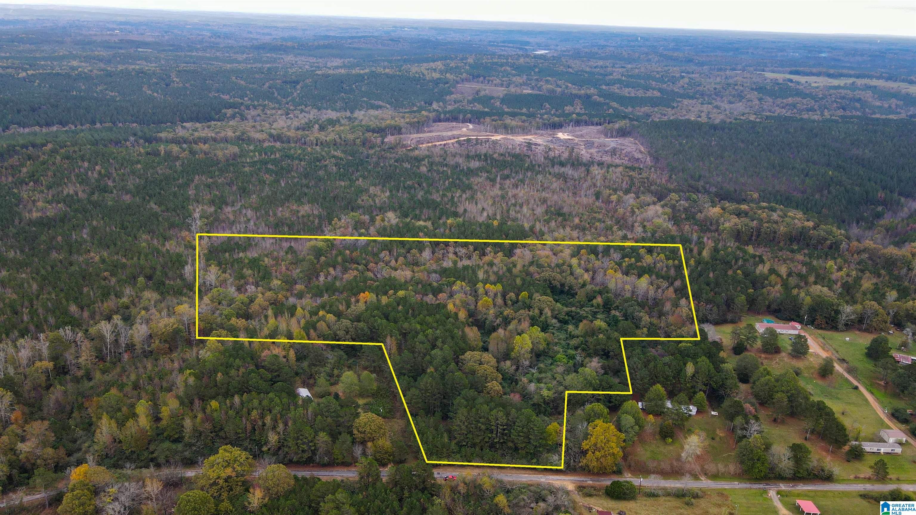 0 Spring Hill Road Nauvoo, AL 35578 - Photo 41 of 44