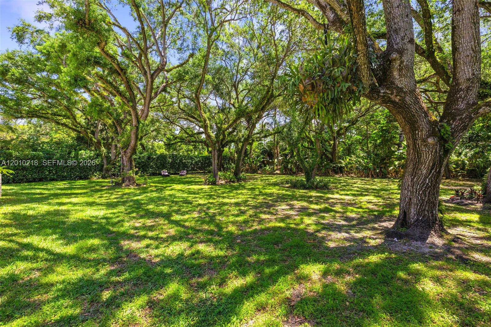 6905 Southwest 75th Avenue Miami, FL 33143 - Photo 64 of 85 a view of outdoor space with deck and yard