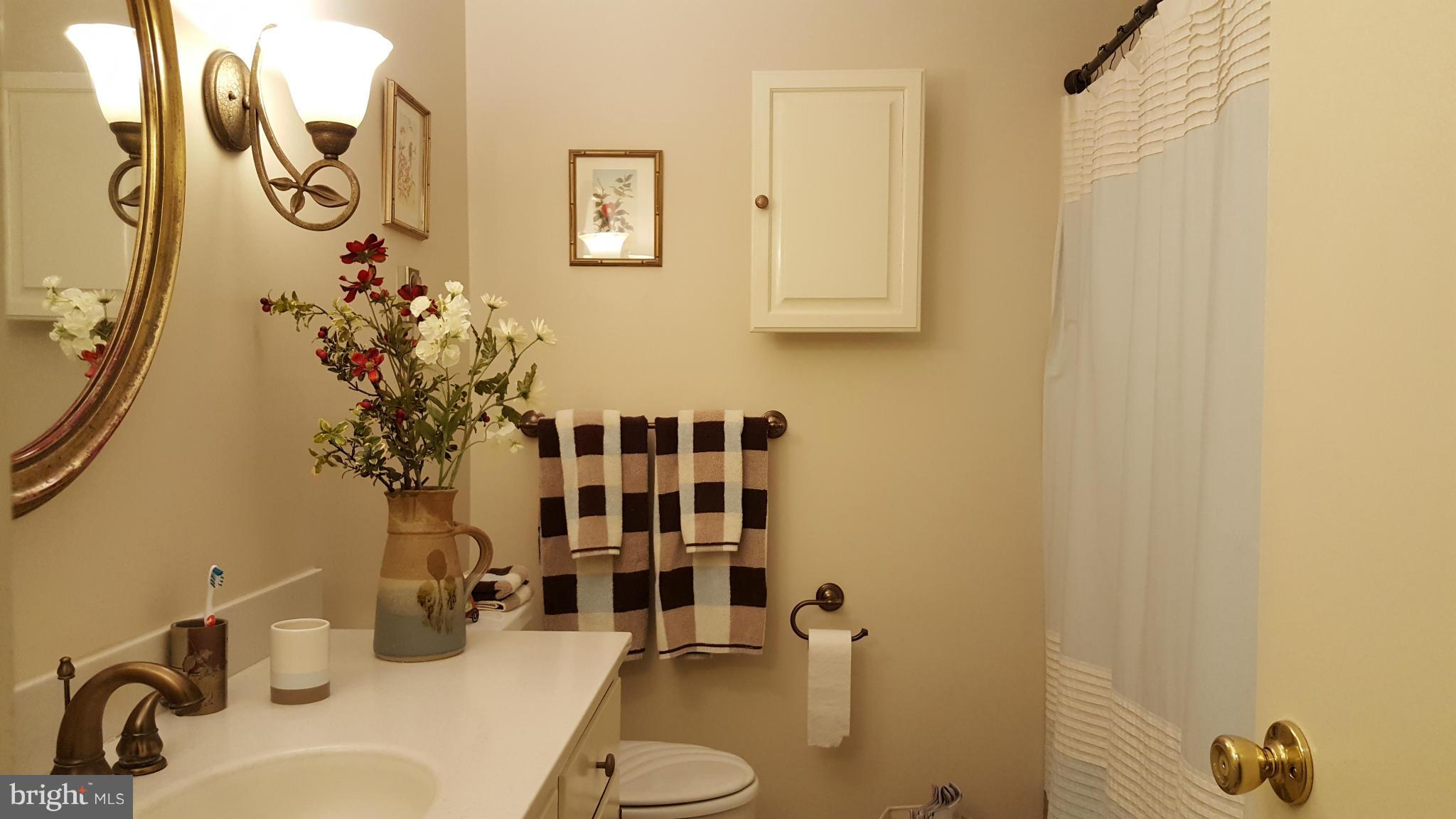 19640 Spring Creek Road Hagerstown, MD 21742 - Photo 18 of 30 Upper Level Family Bathroom
