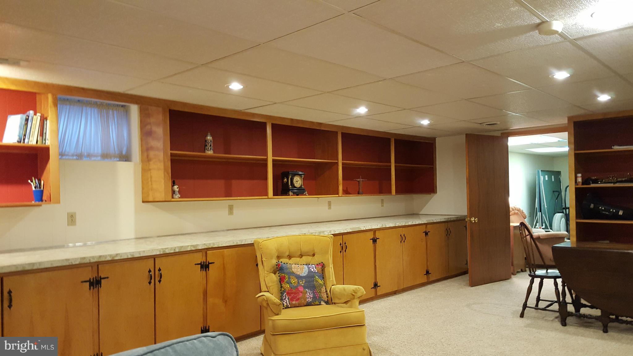19640 Spring Creek Road Hagerstown, MD 21742 - Photo 20 of 30 Lower Level Rec Room with Built in Cabinets