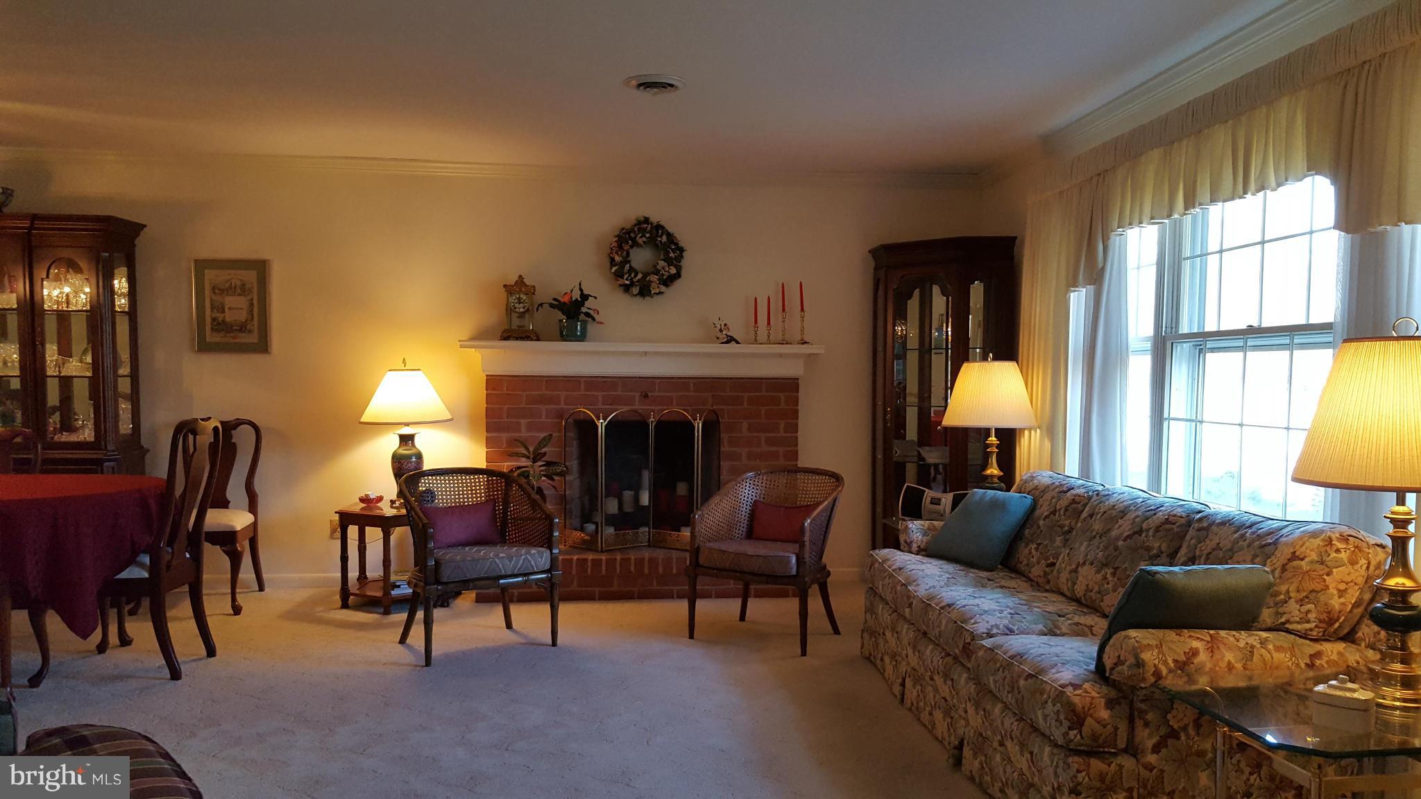 19640 Spring Creek Road Hagerstown, MD 21742 - Photo 3 of 30 Living Room with Wood Burning Fireplace