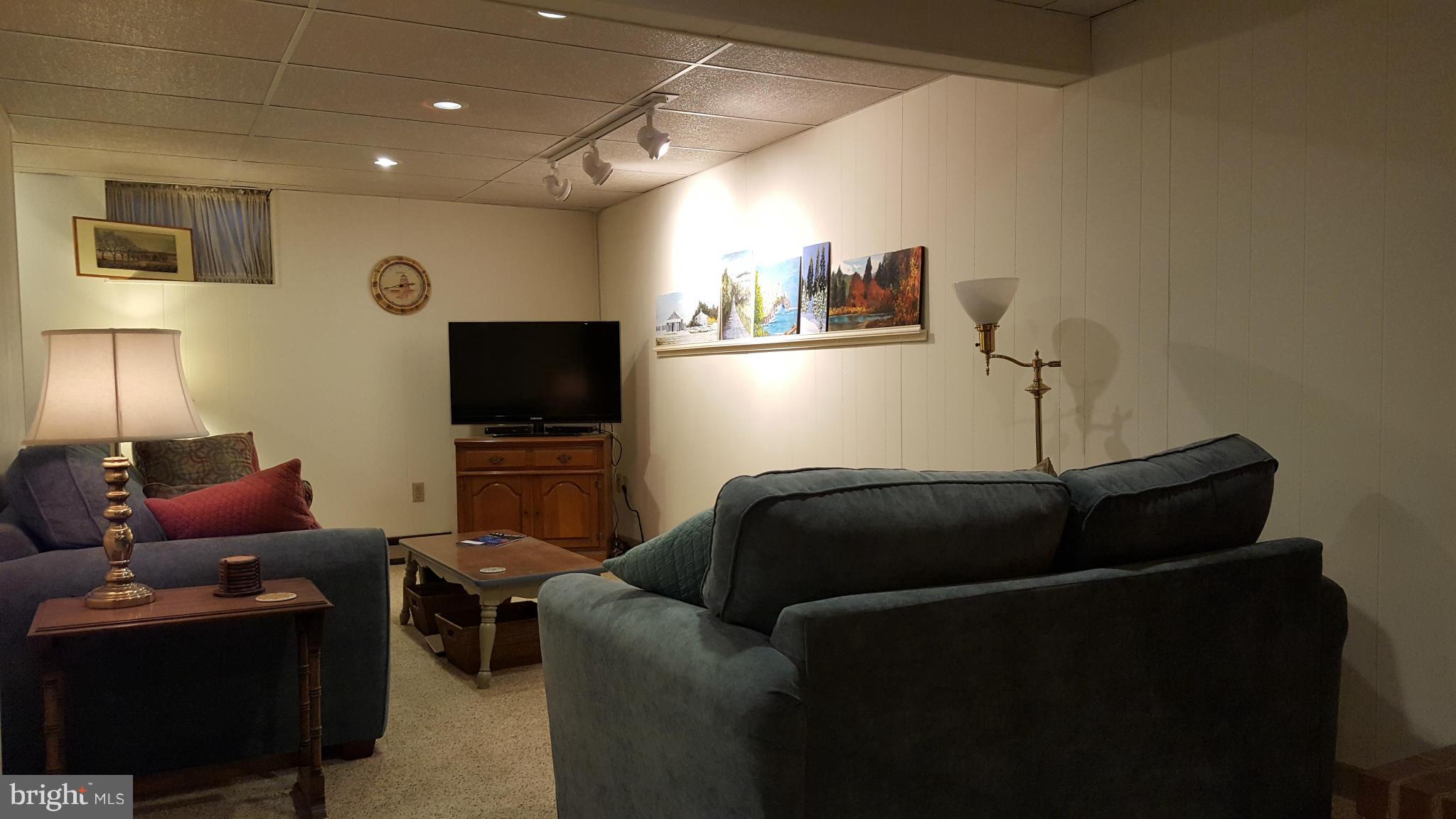 19640 Spring Creek Road Hagerstown, MD 21742 - Photo 21 of 30 lower Level TV Area