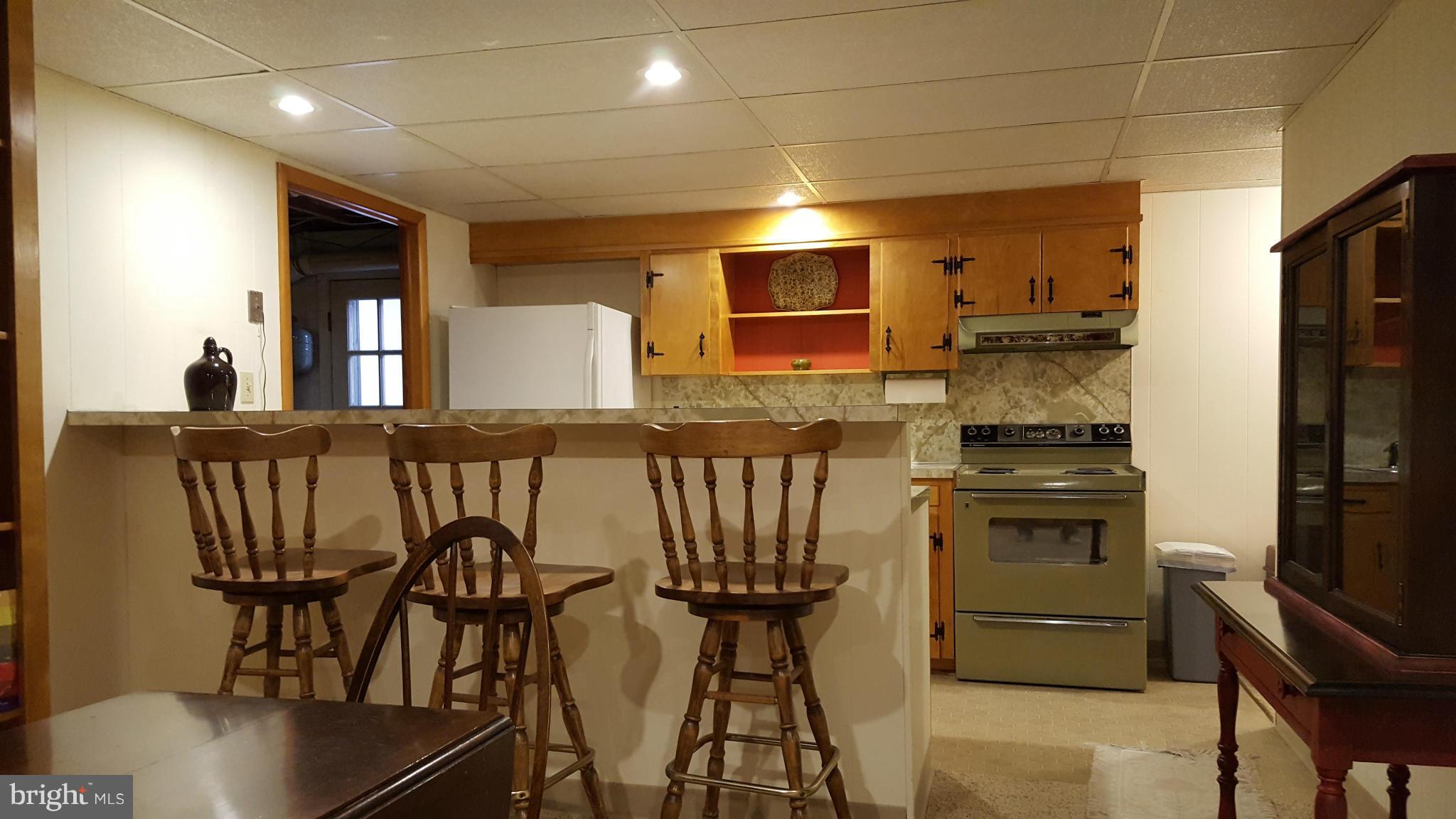 19640 Spring Creek Road Hagerstown, MD 21742 - Photo 22 of 30 Lower Level Kitchen with Bar