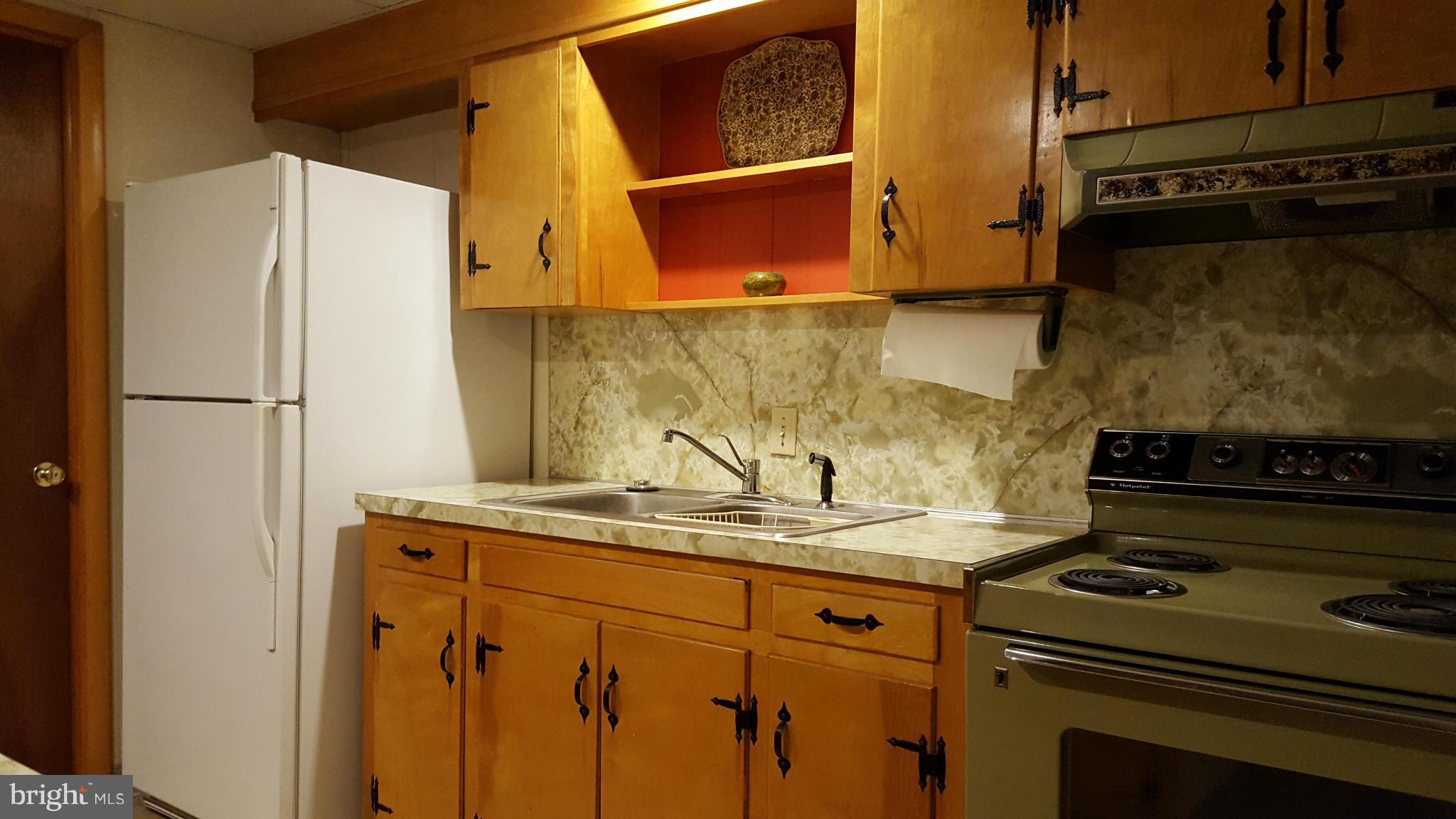 19640 Spring Creek Road Hagerstown, MD 21742 - Photo 23 of 30 Lower Level Kitchen