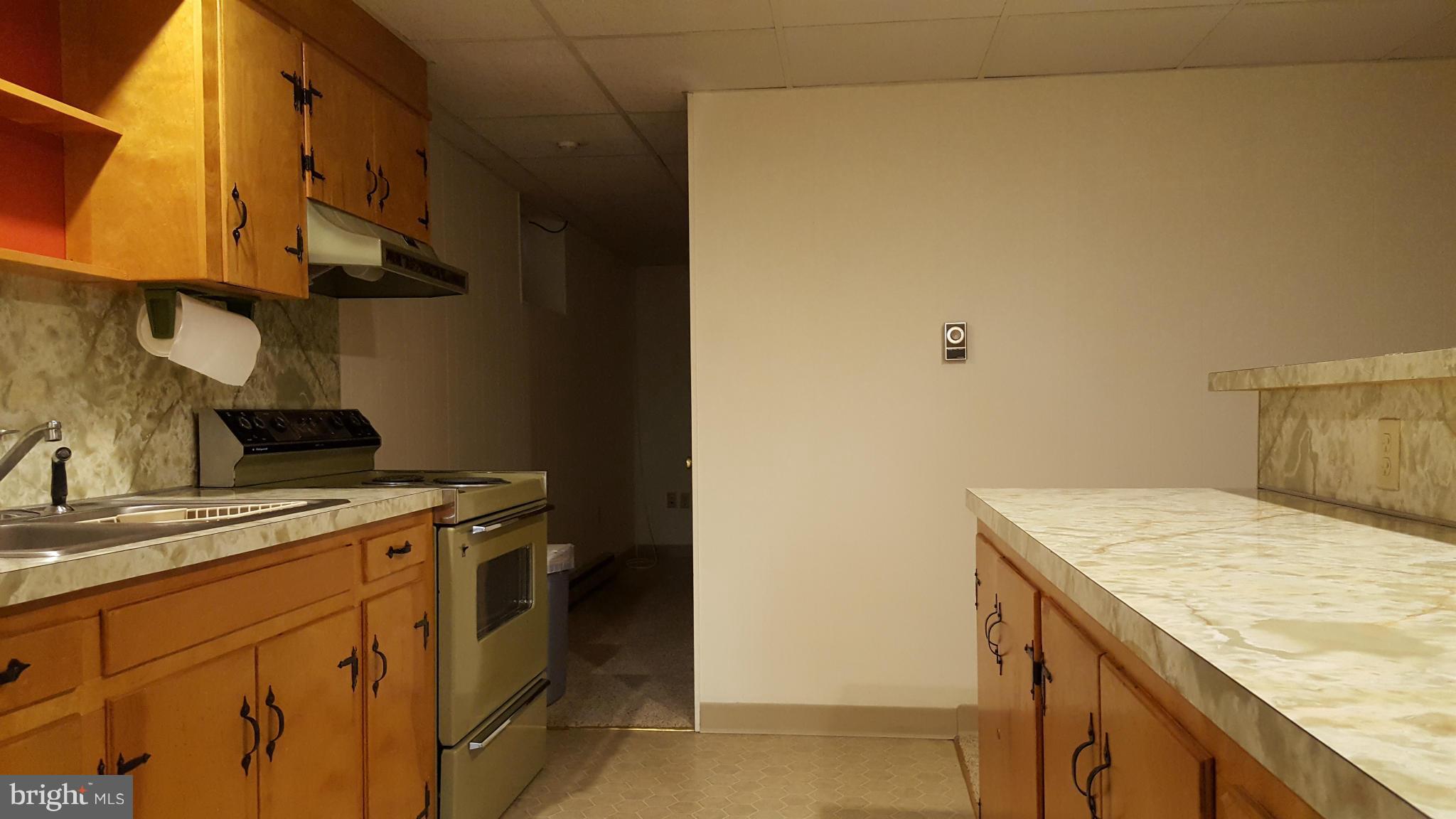 19640 Spring Creek Road Hagerstown, MD 21742 - Photo 24 of 30 Lower Level Kitchen