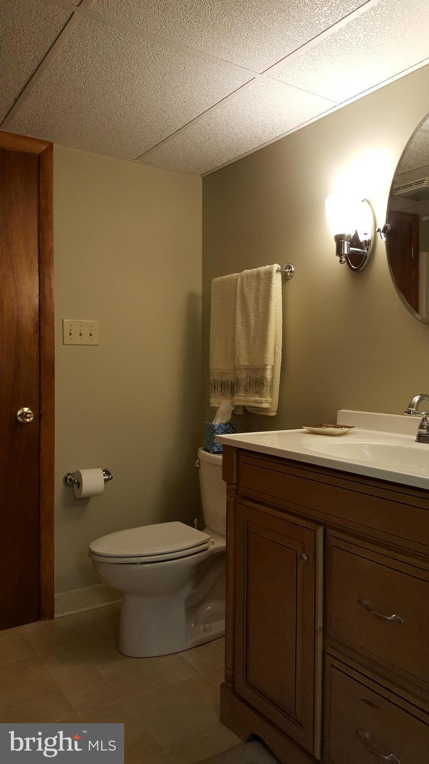 19640 Spring Creek Road Hagerstown, MD 21742 - Photo 27 of 30 Lower Level Full Bathroom