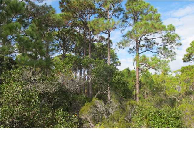 1448 Blueberry Road St. George Island, FL 32328 - Photo 1 of 1