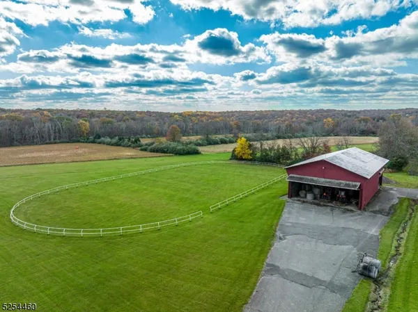 a view of a big yard with swimming pool