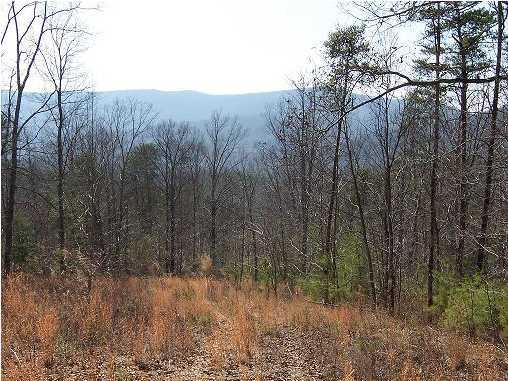 0 Southwest Dripping Springs Road LaFayette, GA 30728 - Photo 3 of 3 Additional Photo