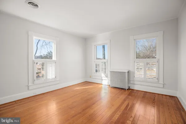 a view of a yard with trees