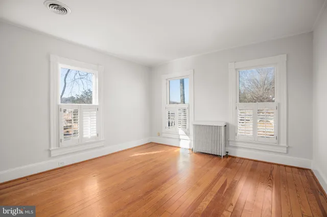 a view of a yard with trees