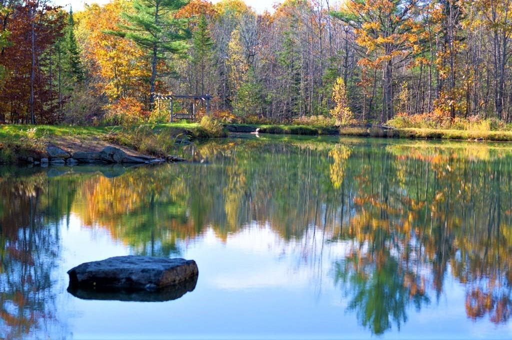 146 Clarks Point Road Wiscasset, ME 04578 - Photo 34 of 35 Spring Fed Pond at Clark's Point...