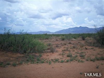 0 Moser Road East Willcox, AZ 85643 - Photo 3 of 4
