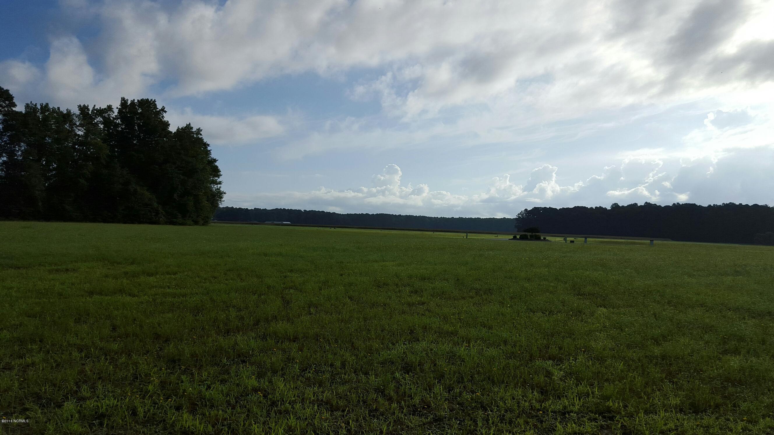 0 State Road Pinetown, NC 27865 - Photo 6 of 13 20160811_080713_002_resized