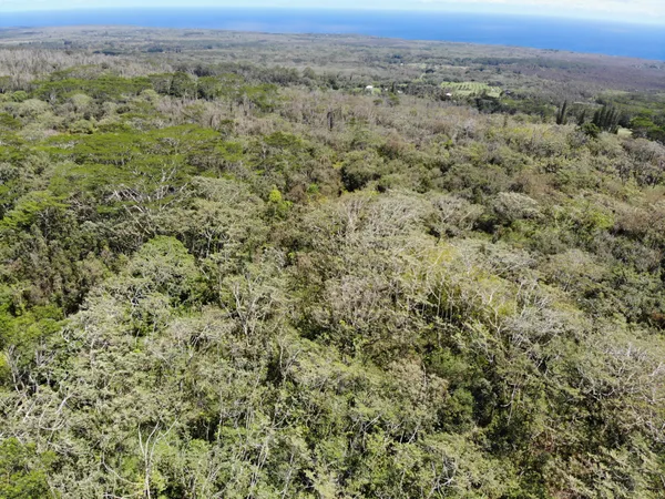 $180,000 | 13-3827 Lot 2 Pahoa Kalapana Road, Pahoa, HI 96778