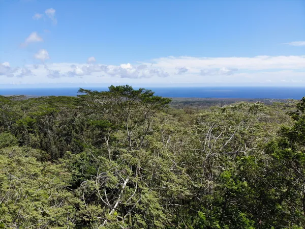 $180,000 | 13-3827 Lot 2 Pahoa Kalapana Road, Pahoa, HI 96778