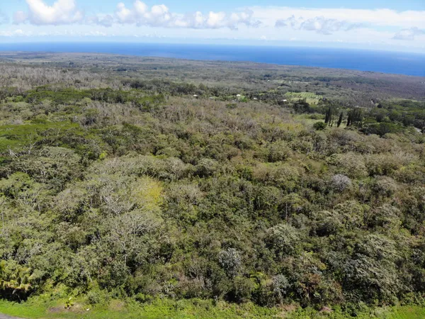 $180,000 | 13-3827 Lot 2 Pahoa Kalapana Road, Pahoa, HI 96778