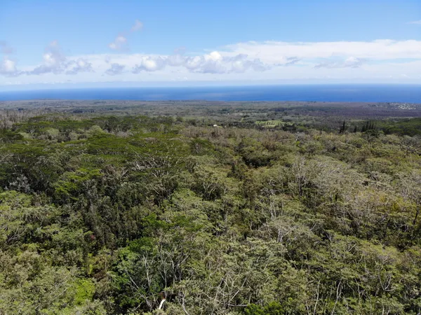 $180,000 | 13-3827 Lot 2 Pahoa Kalapana Road, Pahoa, HI 96778