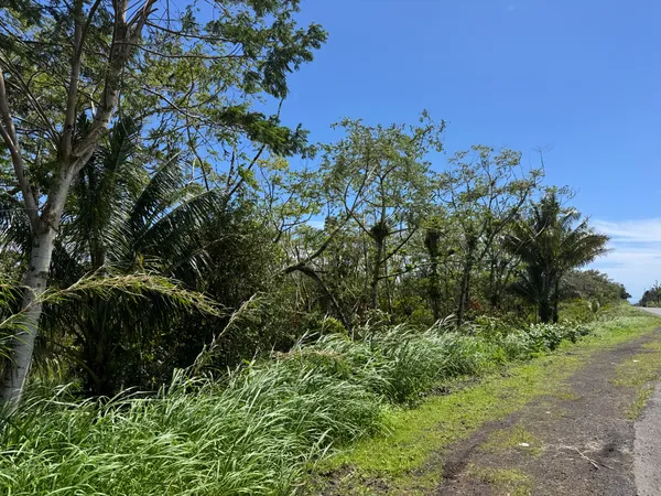 $180,000 | 13-3827 Lot 2 Pahoa Kalapana Road, Pahoa, HI 96778