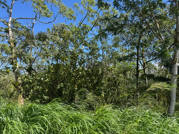 $180,000 | 13-3827 Lot 2 Pahoa Kalapana Road, Pahoa, HI 96778