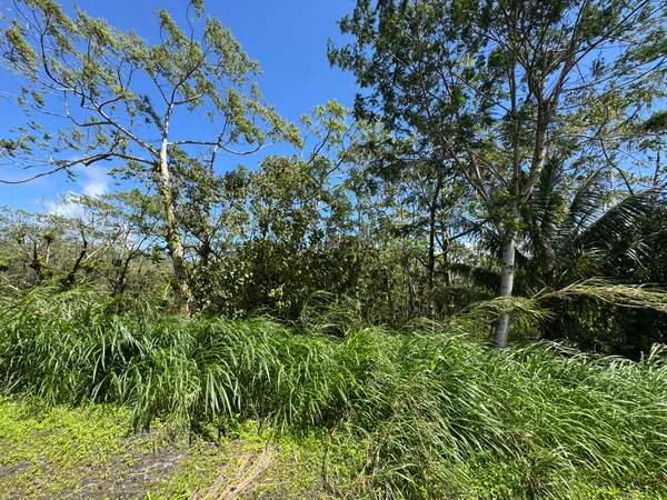 $180,000 | 13-3827 Lot 2 Pahoa Kalapana Road, Pahoa, HI 96778