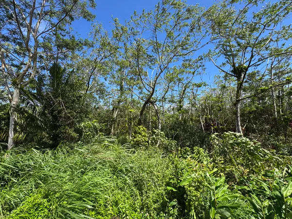 $180,000 | 13-3827 Lot 2 Pahoa Kalapana Road, Pahoa, HI 96778