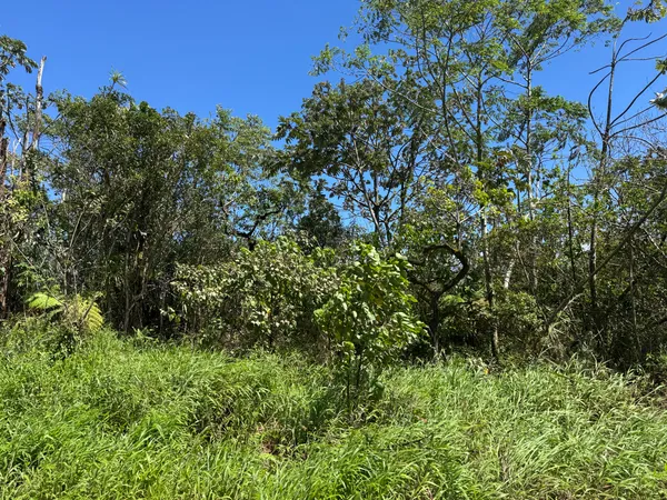 $180,000 | 13-3827 Lot 2 Pahoa Kalapana Road, Pahoa, HI 96778
