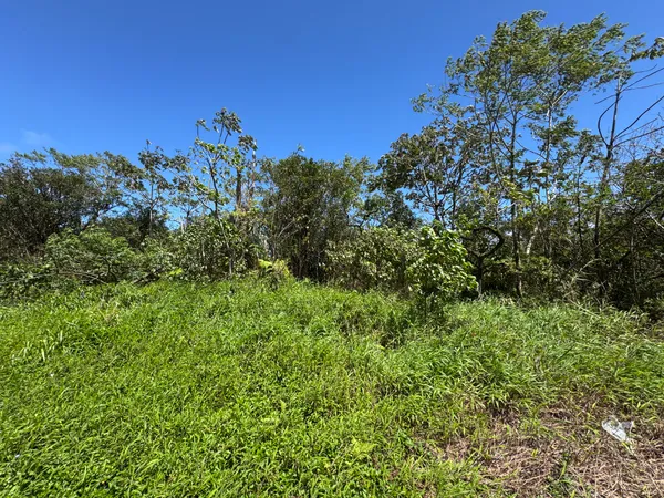 $180,000 | 13-3827 Lot 2 Pahoa Kalapana Road, Pahoa, HI 96778