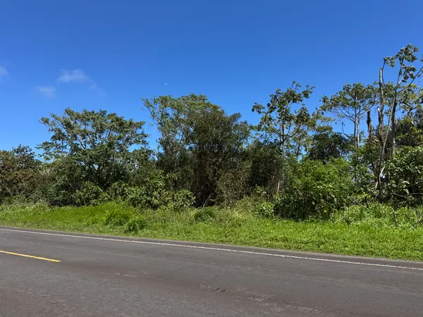 $180,000 | 13-3827 Lot 2 Pahoa Kalapana Road, Pahoa, HI 96778